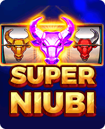 Super Niubi game cover