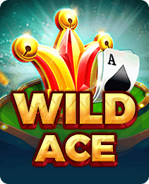Wild Ace game cover